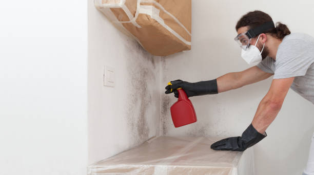 Professional Bathroom Mold Removal technician working in Christmas, FL